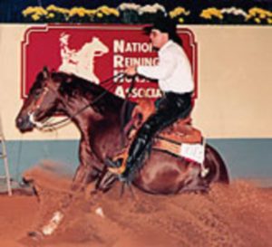 Synergy-Compete-Equine-Nutrition-04